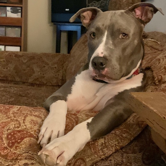 Meet your Posher, Marie - Picture 2 of 10